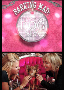 Barking Mad: The Welsh Dog Spa Barking Mad: The Welsh Dog Spa