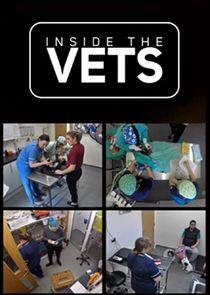Inside the Vets Inside the Vets