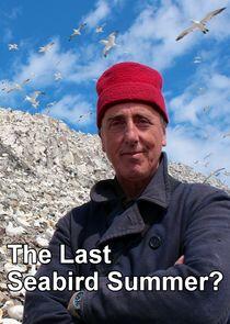 The Last Seabird Summer? The Last Seabird Summer?