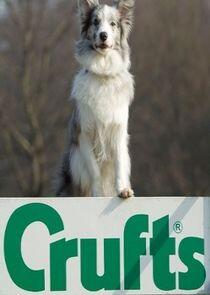 Crufts Crufts
