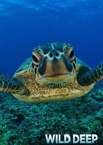 Wild Deep Wild Deep