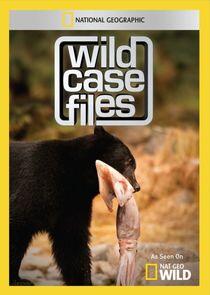 Wild Case Files Wild Case Files