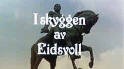 I skyggen av Eidsvoll I skyggen av Eidsvoll