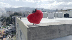 The Big Red Heart The Big Red Heart
