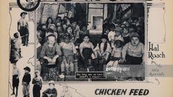 Chicken Feed Chicken Feed