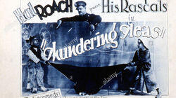 Thundering Fleas Thundering Fleas