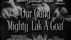 Mighty Lak A Goat Mighty Lak A Goat