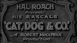 Cat and Dog Cat and Dog