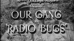 Radio Bugs Radio Bugs