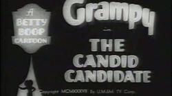The Candid Candidate The Candid Candidate