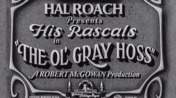 The Ol' Gray Hoss The Ol' Gray Hoss