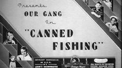 Canned Fishing Canned Fishing