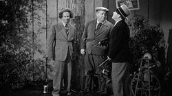 They Stooge to Conga They Stooge to Conga