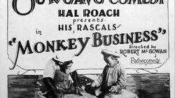 Monkey Business Monkey Business