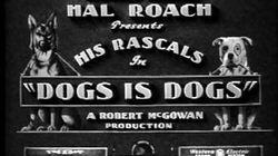Dogs Is Dogs Dogs Is Dogs