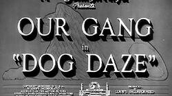 Dog Daze Dog Daze