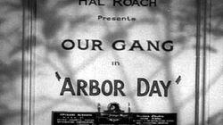 Arbor Day Arbor Day