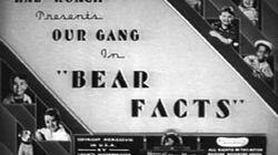 Bear Facts Bear Facts