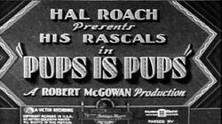 Pups Is Pups Pups Is Pups