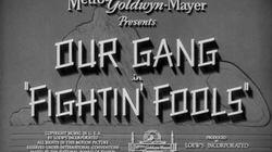 Fightin' Fools Fightin' Fools
