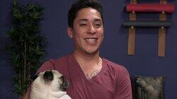 Dog Tricks & Tips Dog Tricks & Tips