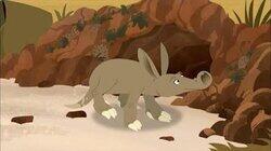 Aardvark Town Aardvark Town