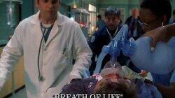 Breath of Life Breath of Life