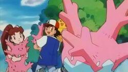 A Corsola Caper! A Corsola Caper!