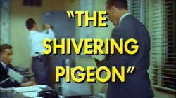 The Shivering Pigeon The Shivering Pigeon