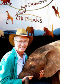 Paul O'Grady's Animal Orphans Paul O'Grady's Animal Orphans