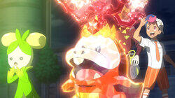 Showdown! The Paldea Elite Four Showdown! The Paldea Elite Four