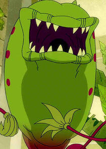 Frank the Plant Frank the Plant