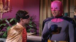 The Contaminated Cowl (1) The Contaminated Cowl (1)
