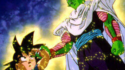Piccolo's Decision