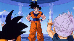 The Fusion Dance The Fusion Dance