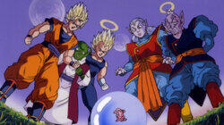 True Saiyans Fight Alone True Saiyans Fight Alone