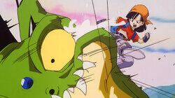 The Shadow Dragons