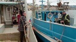 Open Season Open Season