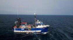 In Full Swing In Full Swing