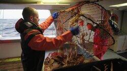 The End Of The Line The End Of The Line