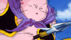 The Terror of Majin Buu The Terror of Majin Buu