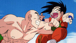 Final Match: Goku vs. Tien Shinhan Final Match: Goku vs. Tien Shinhan
