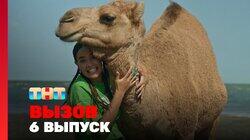 Выпуск 6 Выпуск 6