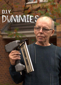 DIY Dummies DIY Dummies