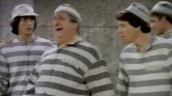 American Musical American Musical