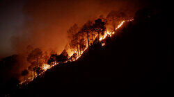 Devastating Disasters Devastating Disasters