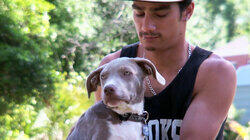 Saving Prada Saving Prada