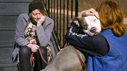 Everything for Emma Everything for Emma