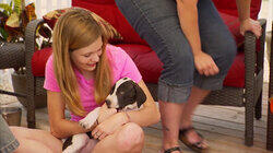 Puppy-Palooza Puppy-Palooza