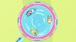 Whirlpool Whirlpool